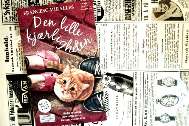 Den lille kjærligheten